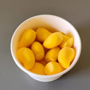 🥭 Mango Bite size Fruit Pop 10pcs